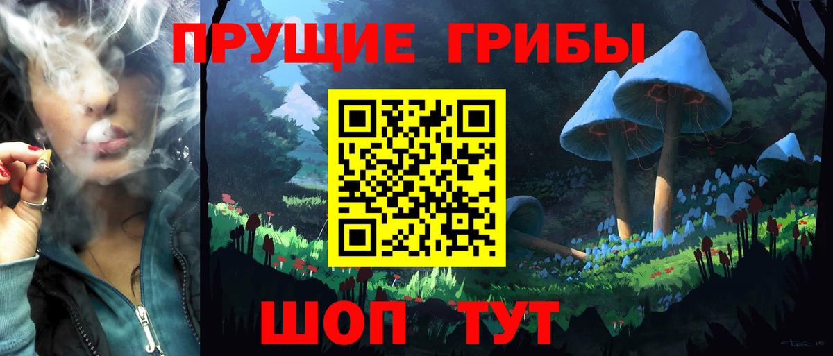 Галлюциногенные грибы Psilocybe  Вход с VPN  Зеленодольск  Галлюциногенные грибы Psilocybe 